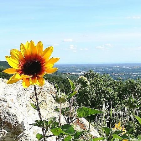 B&B Ca Montemezzano Verona Eksteriør billede