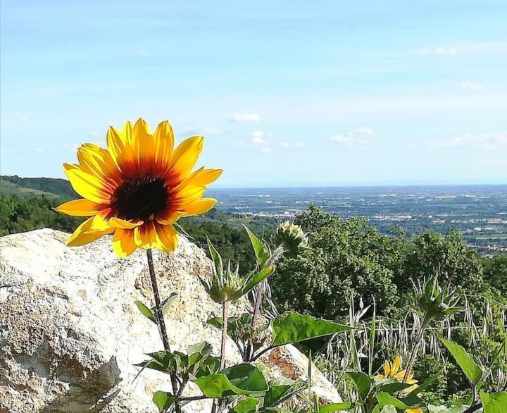 B&B Ca Montemezzano Verona Eksteriør billede